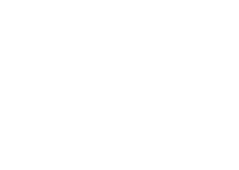 Stock